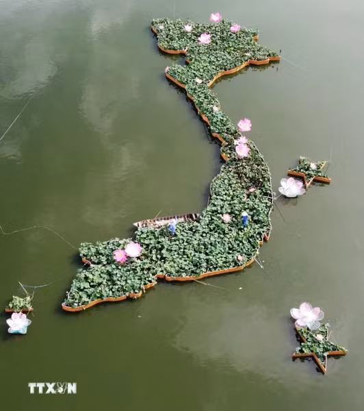 Carte du Vietnam formée à partir de 5.000 pots de lotus à Dong Thap, vue d'en haut.