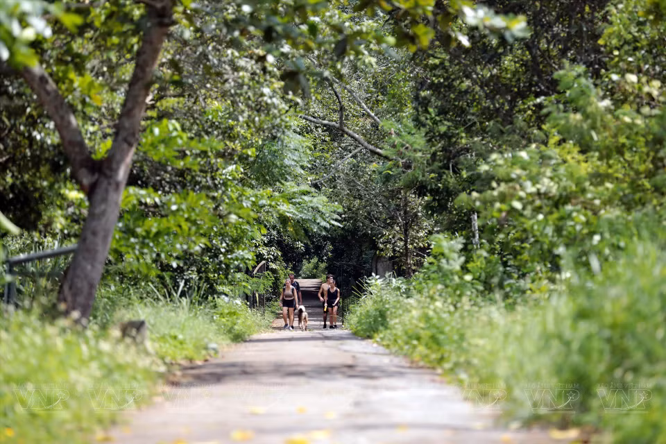 De petits sentiers partant de la route côtière permettent aux visiteurs de se promener à travers les forêts ombragées.