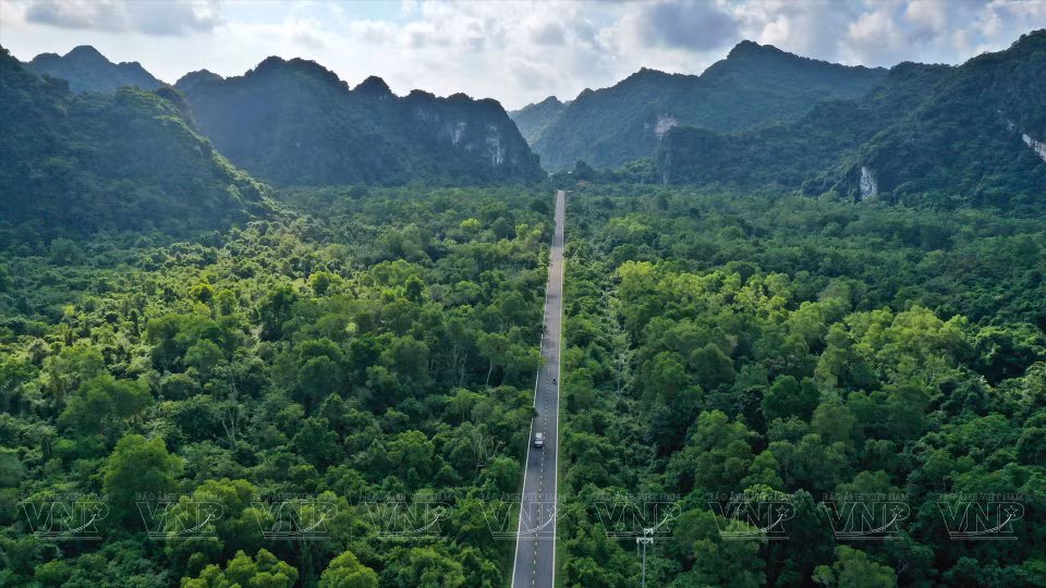 Vue d’en haut, la route ressemble à un fil gris se faufilant à travers la végétation verte sans fin.