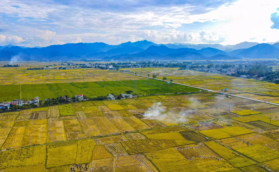 Les rizières de Muong Thanh vues d'en haut. Photo: VNA