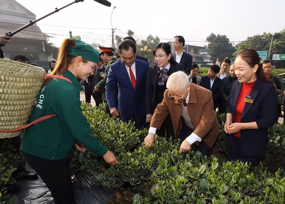 Le secrétaire général du PCV Nguyen Phu Trong visite le jardin de thé de la coopérative Hao Dat, dans la ville de Thai Nguyen (10 janvier 2023). Photo: VNA