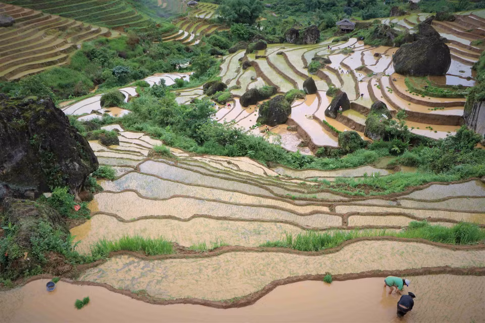 Des rizières en terrasses de la commune de Khun Ha, district de Tam Duong, province de Lai Chau en saison de mise en eau. Photo: VNA