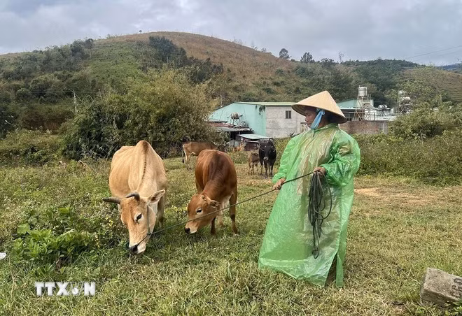 giam-ngheo.jpg