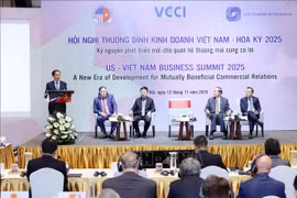 Le vice-Premier ministre Bui Thanh Son s'exprime au Sommet. Photo: VNA