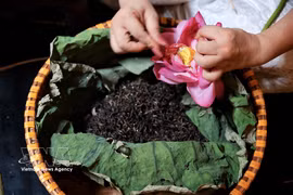Le thé au lotus du lac de l’Ouest figure parmi les produits présentés au Festival des boissons de Hanoï 2026. Photo : VNA