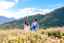 Des touristes découvrent la floraison du sarrasin sur le plateau karstique de Dong Van. Photo : VNA