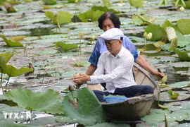 Voyage sensoriel autour du thé au lotus blanc à Hue