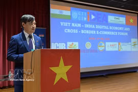 Le conseiller commercial du Vietnam en Inde, Bui Trung Thuong, s'exprime lors du forum. Photo: VNA