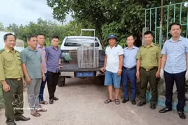 Remise d'un animal sauvage aux autorités locales de la province de Quang Tri. Photo: VNA