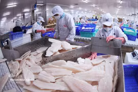 Le filet de pangasius est un produit d'exportation vietnamien vers le Canada. Photo d'illustration : VNA