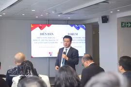 Le vice-président de l'Assemblée nationale, Nguyen Hong Dien, répond aux questions des entreprises sud-africaines. Photo: VNA