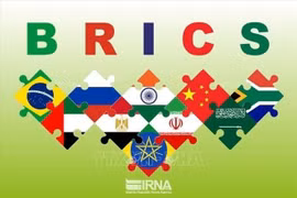 Les drapeaux nationaux des pays membres des BRICS. Photo: VNA