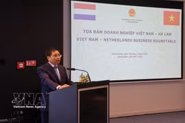 Le vice-Premier ministre vietnamien Nguyen Van Thang s'exprime lors de la table ronde. Photo: VNA