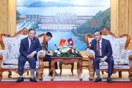 Le secrétaire du Comité provincial du Parti et président du Conseil populaire de la province de Vientiane, Phouthanouphet Xaysombath (droite), reçoit l'ambassadeur du Vietnam au Laos, Nguyen Minh Tam. Photo: VNA