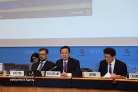 L’ambassadeur Mai Phan Dung s'exprime lors de la session. Photo: VNA