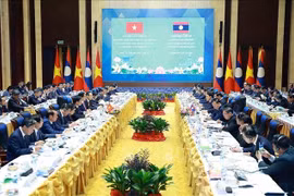 La 48ᵉ session du Comité intergouvernemental Vietnam–Laos sur la coopération bilatérale. Photo: VNA