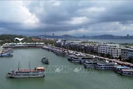 La flotte touristique de Ha Long au port international de Tuan Chau. Photo : VNA