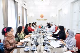 La troisième session de consultation politique entre les deux ministères des Affaires étrangères du Vietnam et des EAU. Photo: qdnd.vn