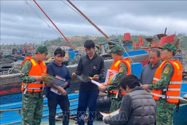 Le poste de garde-frontière de Bach Long Vi et la station des garde-côtes de la Région 1 mènent une campagne de sensibilisation à la lutte contre la pêche INN auprès des pêcheurs. Photo : VNA