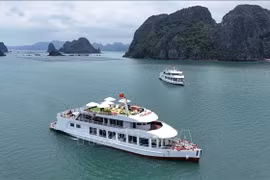 Tous les bateaux touristiques de la baie d'Ha Long, dans la province de Quang Ninh, devront être équipés d'un système d'identification automatique. Photo: VNA