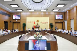 La vice-présidente de l'Assemblée nationale, Nguyen Thi Hong, s'exprime lors de la réunion. Photo: VNA