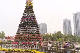 Le "Festival des fleurs de la province de Hung Yen" se tiendra du 25 au 31 décembre dans la commune de Phung Cong. Photo: journal de Hung Yen