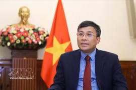 Le vice-ministre permanent des Affaires étrangères, Nguyen Minh Vu. Photo: VNA