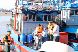 Quang Tri met en œuvre une série de mesures coordonnées visant à renforcer le contrôle des navires de pêche. Photo: VNA
