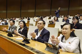 Les députés de l'Assemblée nationale votent des lois et résolutions. Photo : Doan Tan - VNA