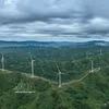 Le Vietnam mise sur le captage du carbone pour atteindre la neutralité climatique
