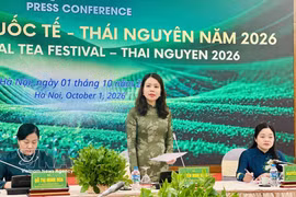 La vice-ministre des Affaires étrangères, Nguyen Minh Hang à la conférence de presse présentant le Festival international du thé de Thai Nguyen. Photo: VNA