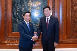 Le vice-président de l’Assemblée nationale vietnamienne Nguyen Doan Anh (gauche) et Ba Yin Chao Lu, président du Groupe d’amitié parlementaire Chine-Vietnam. Photo: VNA