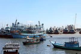 Bateaux de pêche ancrés sur le fleuve Ben Dinh. Photo : VNA