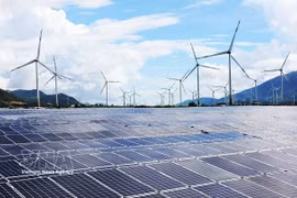 Cà Mau mise sur les énergies renouvelables, notamment l’éolien en mer et près des côtes, afin de contribuer à l’approvisionnement du réseau électrique national. Photo: VNA
