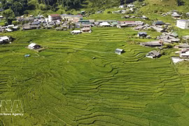 Ta Van, l’un des plus beaux villages d’Asie, mise sur un tourisme durable 