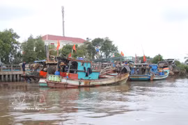 La province méridionale de Ca Mau a intensifié ses efforts de lutte contre la pêche illicite, non déclarée et non réglementée (INN), dans le but de contribuer à la levée du « carton jaune » imposé par la Commission européenne (CE) au secteur halieutique vietnamien. Photo: VNA