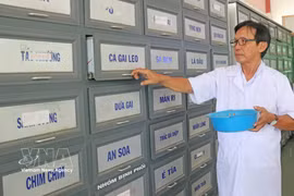 Le Vietnam entend faire de la médecine traditionnelle un pilier de son système de santé et un secteur économique à forte valeur ajoutée. Photo: VNA