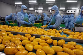 Transformation de produits agricoles destinés à l'exportation par la société B'LaoFood. Photo : VNA