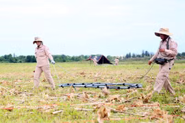 Des membres du groupe MAG effectuent un déminage dans la commune de Dai Trach, province de Quang Tri. Photo : VNA