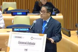 Le ministre-conseiller Nguyen Hai Luu, chef adjoint de la Mission permanente du Vietnam auprès des Nations unies. Photo : VNA