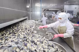 Transformation de produits agricoles à la Société Cofidec, à Ho Chi Minh-Ville. Photo : VNA