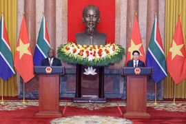 Le président vietnamien Luong Cuong et son homologue sud-africain, Matamela Cyril Ramaphosa lors de la conférence de presse conjointe après leur entretien. Photo: VNA