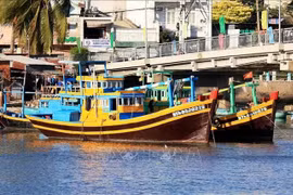 Binh Thuan renforce ses mesures de lutte contre la pêche INN. Photo: VNA