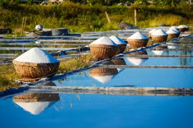 Les gardiens du "goût salé" des salines de Chau Ha