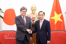Le ministre des Affaires étrangères Le Hoai Trung (droite) et Hagiuda Koichi, secrétaire général par intérim du Parti libéral-démocrate (PLD) du Japon. Photo: VNA