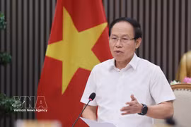 Le vice-Premier ministre Le Tien Chau. Photo: VNA