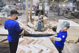 Ces derniers temps, les investisseurs privés continuent d’intensifier leur soutien aux entreprises vietnamiennes en leur apportant non seulement des capitaux, mais aussi une expertise en gestion, des conseils stratégiques et des connexions aux marchés internationaux. Photo: VNA