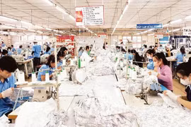 Production des produits de textile-habillement à la Compagnie par actions du textile Hoa Tho. Photo: VNA