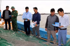La province de Ninh Binh (Nord) a mis en œuvre de nombreuses mesures concertées afin de contribuer à la levée rapide du « carton jaune » imposée par la Commission européenne (CE) en 2025, et de favoriser une pêche durable et responsable. Photo: VNA