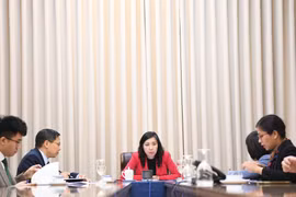 La vice-ministre Le Thi Thu Hang lors de la conversation téléphonique. Photo: VNA